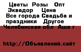 Цветы. Розы.  Опт.  Эквадор. › Цена ­ 50 - Все города Свадьба и праздники » Другое   . Челябинская обл.,Аша г.